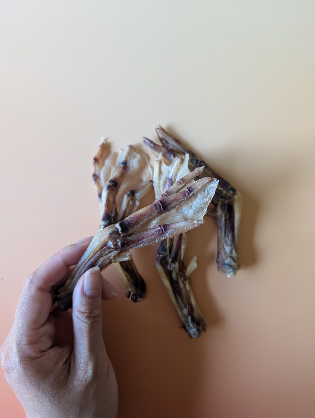 Duck Feet
